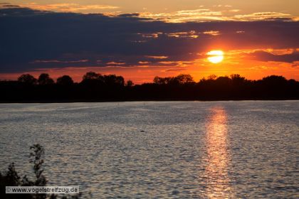 Sonnenuntergang am Ismaninger Speichersee