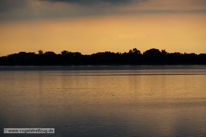 Sonnenuntergang am Ismaninger Speichersee