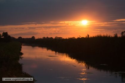Sonnenuntergang am Ismaninger Speichersee