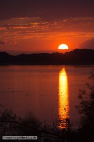 Sonnenuntergang am Ismaninger Speichersee