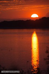 Sonnenuntergang am Ismaninger Speichersee