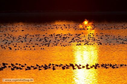 Um 20 Uhr: Sonnenuntergang