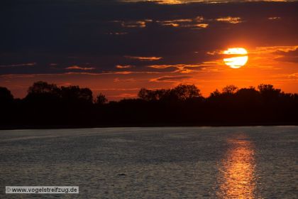 Sonnenuntergang am Ismaninger Speichersee
