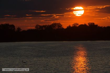 Sonnenuntergang am Ismaninger Speichersee