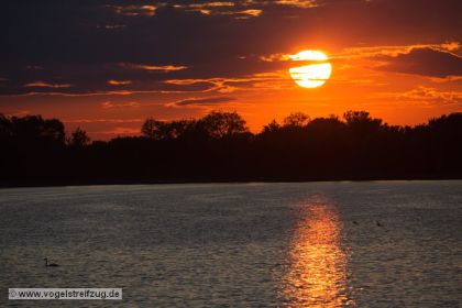 Sonnenuntergang am Ismaninger Speichersee